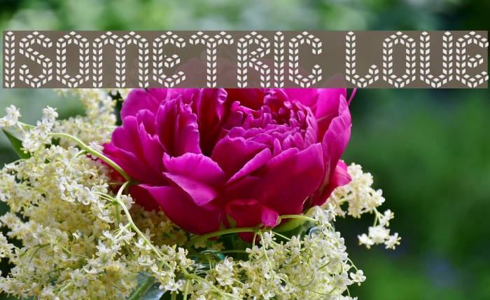 Isometric Love Example 2