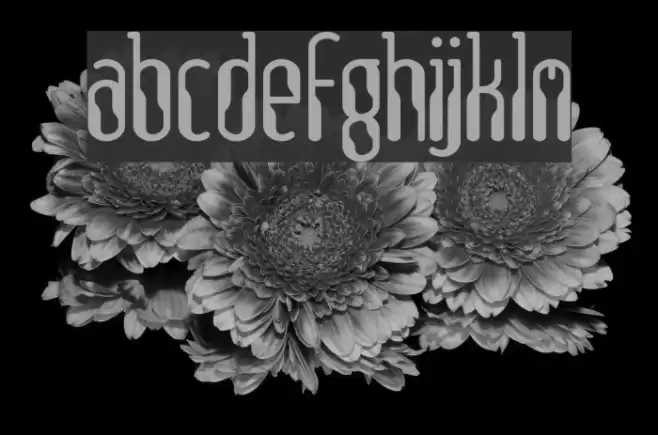 Isotopic Normal Font examples