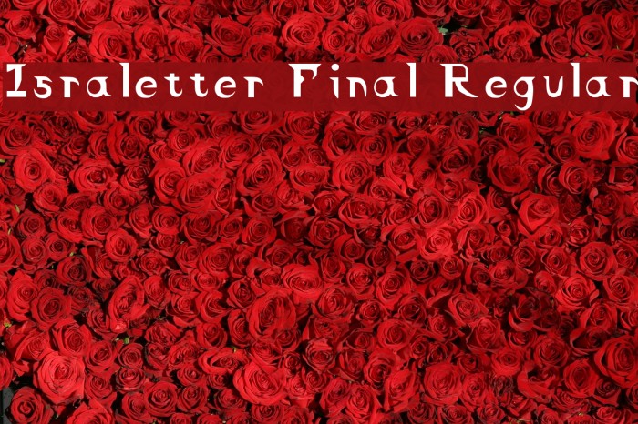 Israletter Final Regular Font examples