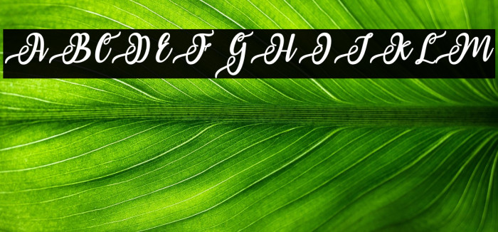 IssabetaScript Example 3