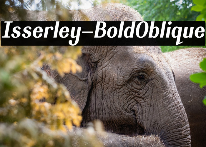 Isserley-BoldOblique Example 3