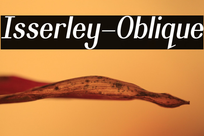 Isserley-Oblique Example 2
