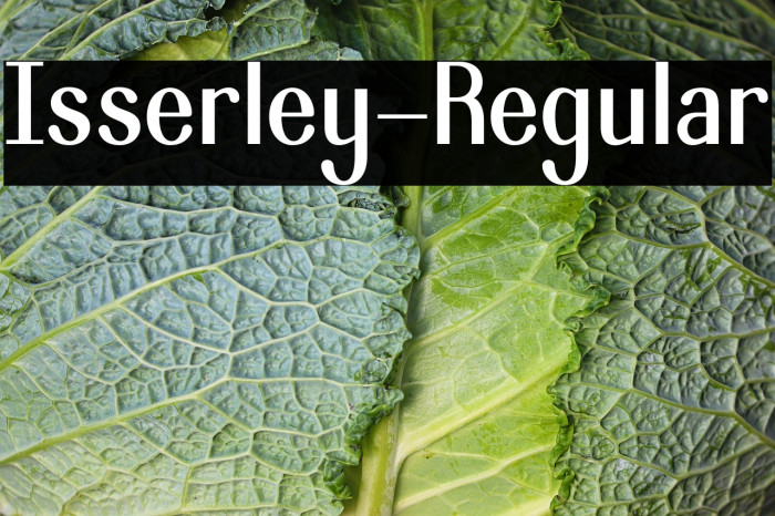 Isserley-Regular Example 1