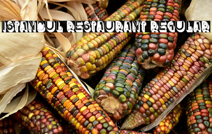 Istanbul Restaurant Regular Example 3