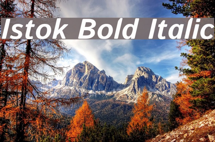 Istok Bold Italic Font examples