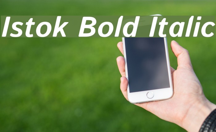 Istok Bold Italic Font examples