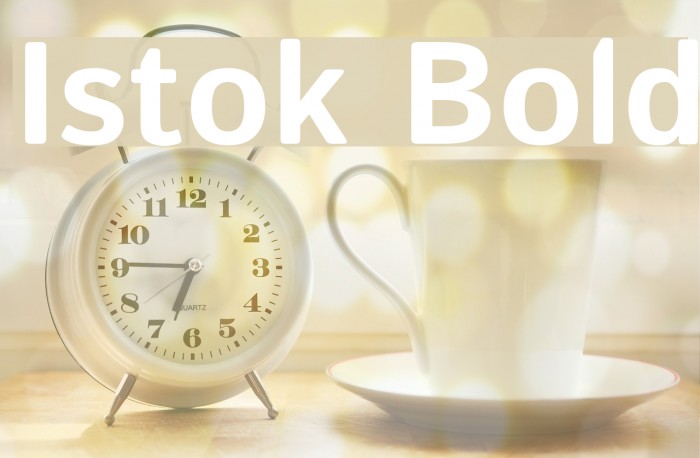 Istok Bold Font examples