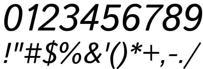Istok Italic Font OTHER CHARS