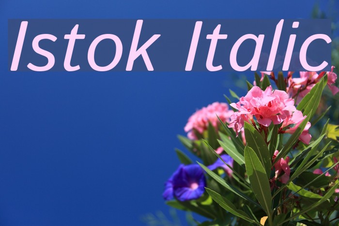 Istok Italic Font examples