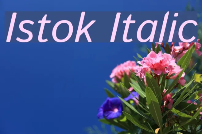 Istok Italic Example 1