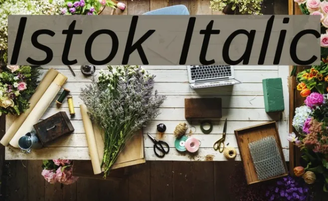 Istok Italic Example 3