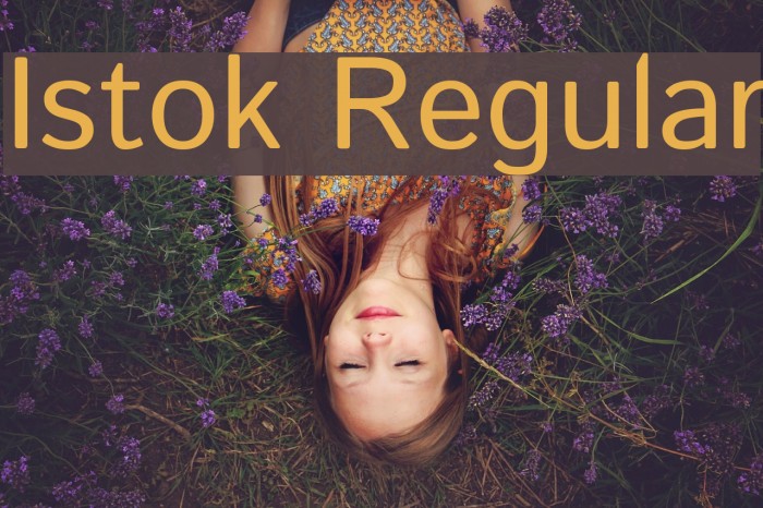 Istok Regular Font examples