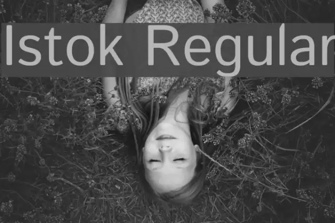 Istok Regular Font examples