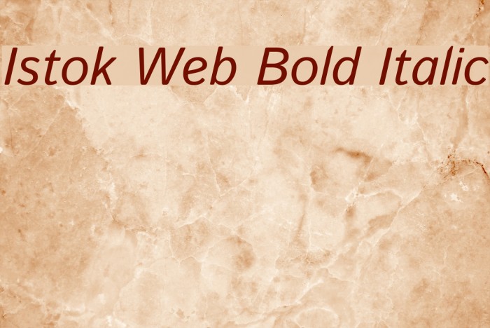 Istok Web Bold Italic Font examples