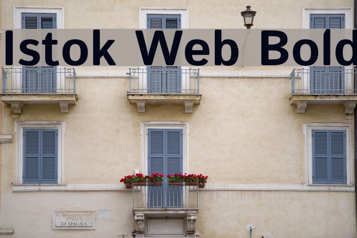 Istok Web Bold Font examples