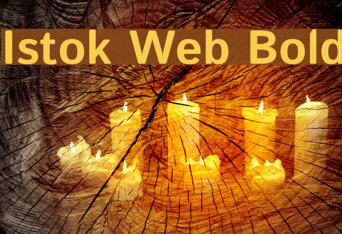 Istok Web Bold Font examples