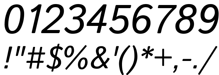 Istok Web Italic Font OTHER CHARS