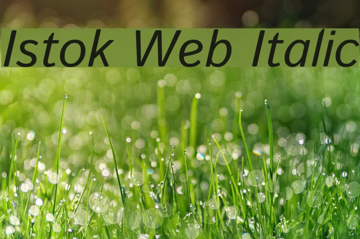 Istok Web Italic Font examples