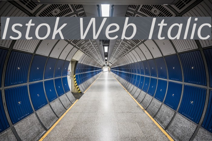 Istok Web Italic Font examples