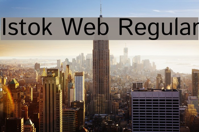 Istok Web Regular Font examples