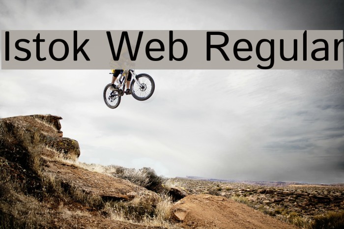 Istok Web Regular Font examples