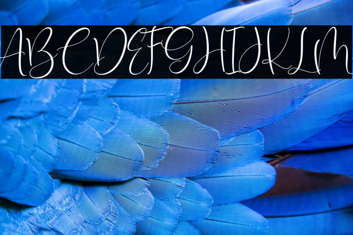 Isyana Script Example 3