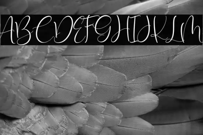 Isyana Script Font examples