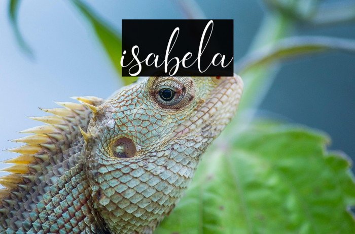 isabela Example 3