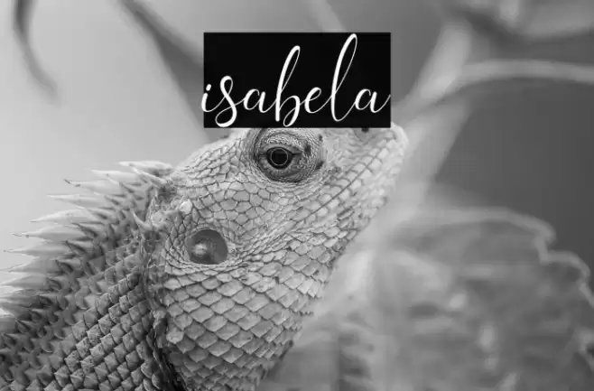 isabela Font | Free Download (TTF/OTF) | FFonts.net