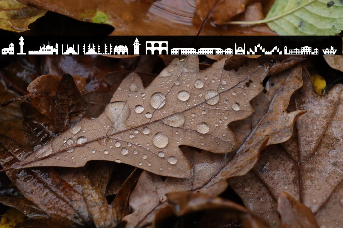 istanbul Regular Example 1