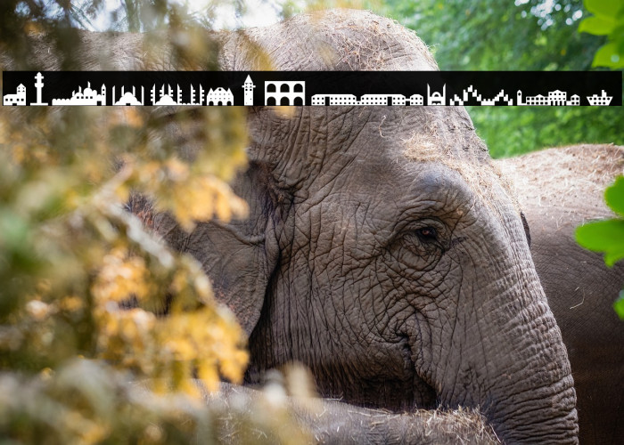 istanbul Regular Example 2