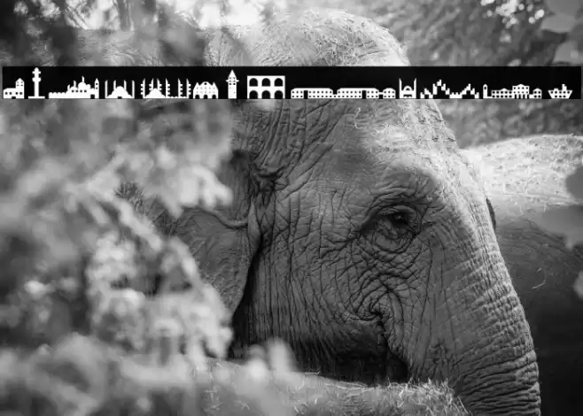 istanbul Regular Font examples