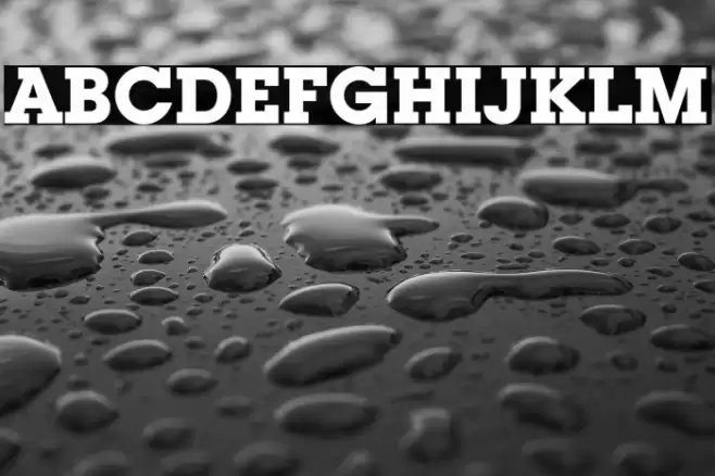 ITC Lubalin Graph Std Bold フォント examples