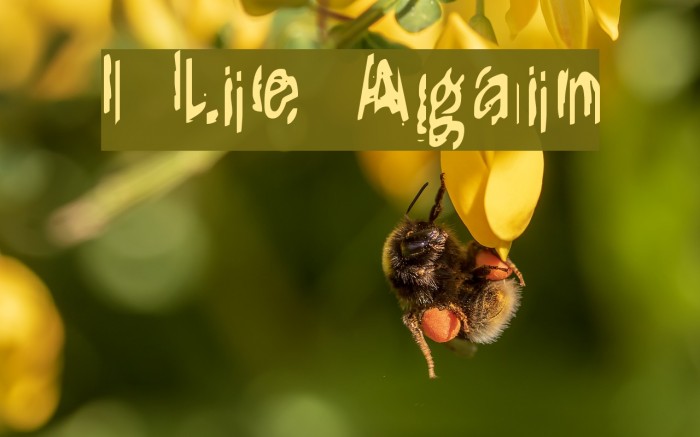 It Lives Again Font examples