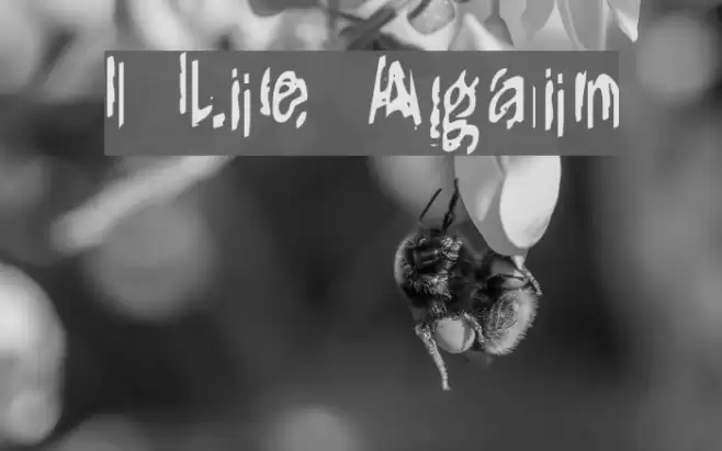 It Lives Again Шрифта examples