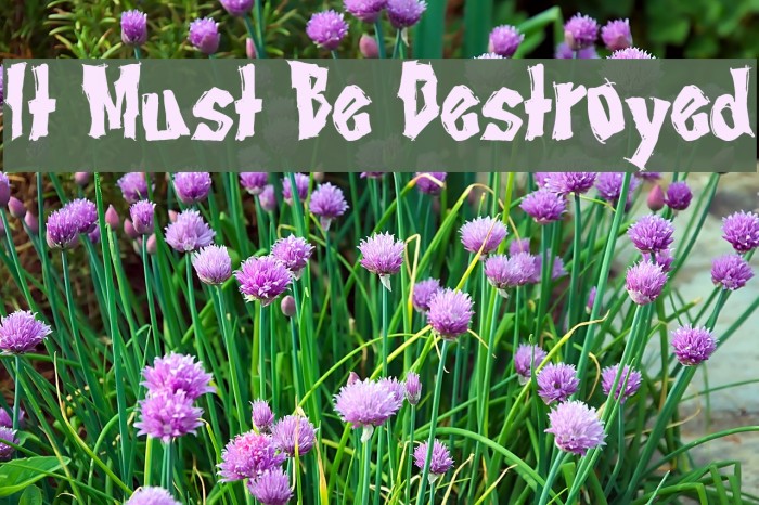 It Must Be Destroyed Font examples