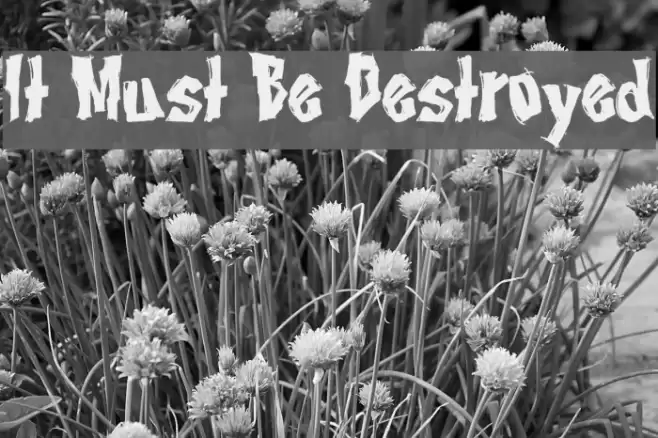 It Must Be Destroyed Font examples