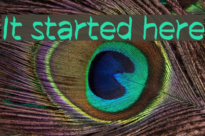 It started here Font examples