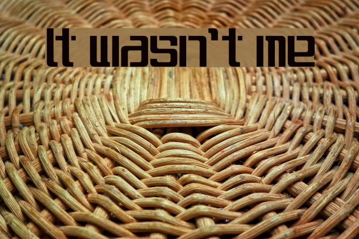 It wasn't me Font examples
