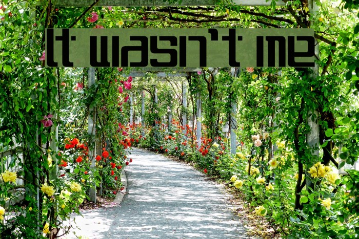 It wasn't me Font examples