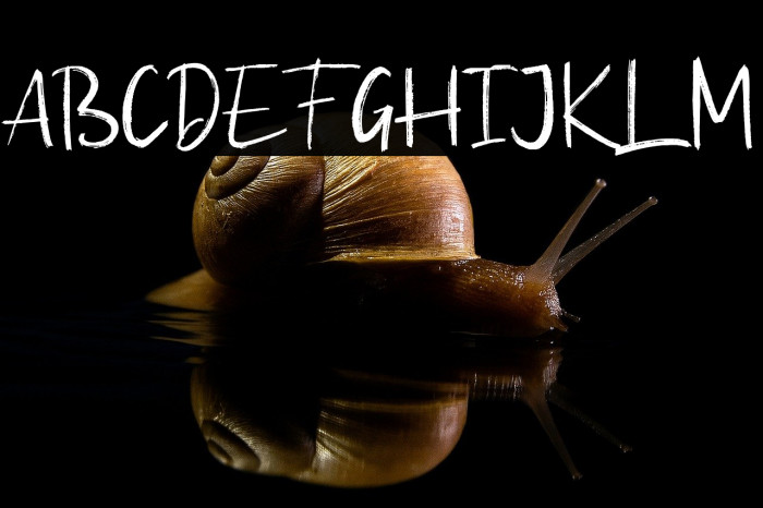 Itadaimase Demo Version Example 1