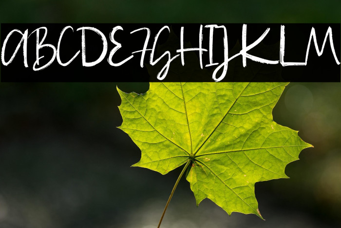 Itadakimase Stylistic Demo Vers Example 1