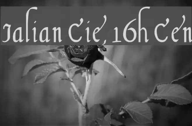 Italian Cursive, 16th Century Font examples