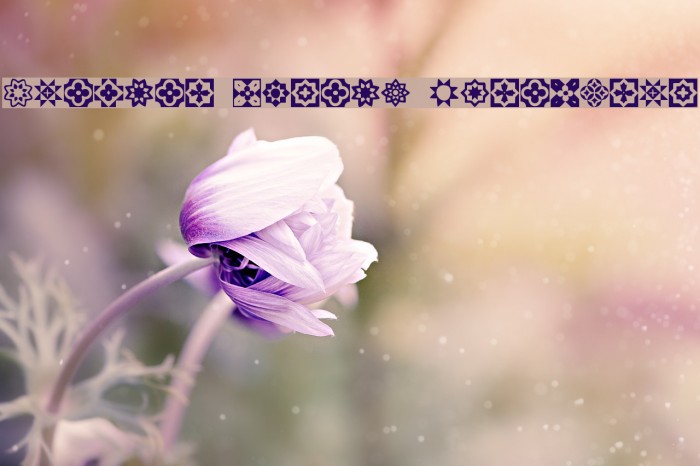 Italian Mosaic Ornaments Font examples