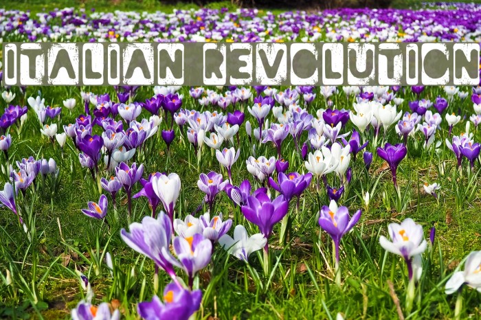 Italian Revolution Font examples