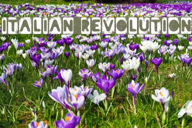 Italian Revolution Example 2
