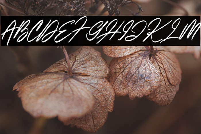 ItalianHorskeyDemo Example 1