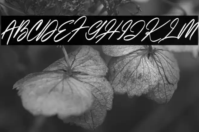 ItalianHorskeyDemo Font examples