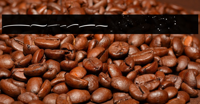 ItalianHorskeySwashDemo Example 1