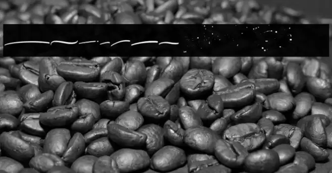 ItalianHorskeySwashDemo Font examples